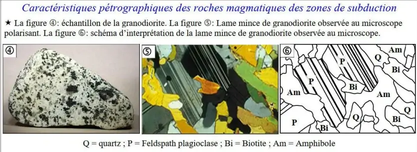 Les chaînes de montagnes récentes et leurs relations avec la tectonique des plaques